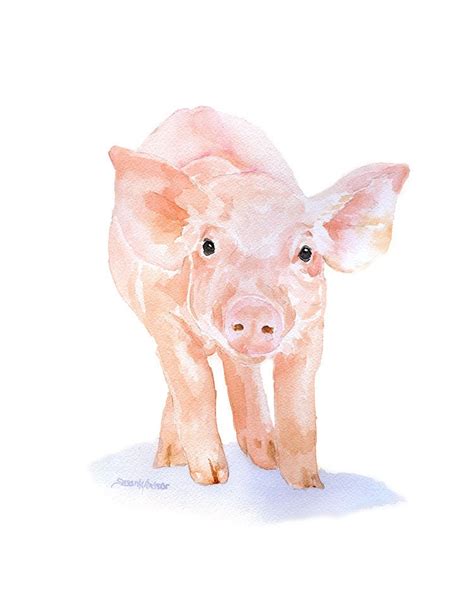 Pig Watercolor Painting 11 x 14 Giclee Print Fine Art