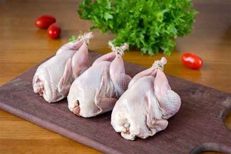 Benefits of quail meat for health and weight loss and male