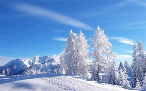 Snowfall wallpaper | 1680x1050 | #68881