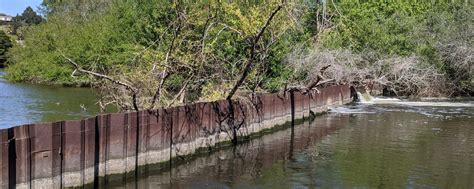 Lower San Luis Obispo Creek Fish Passage (Marre Weir) - Creek Lands Conservation