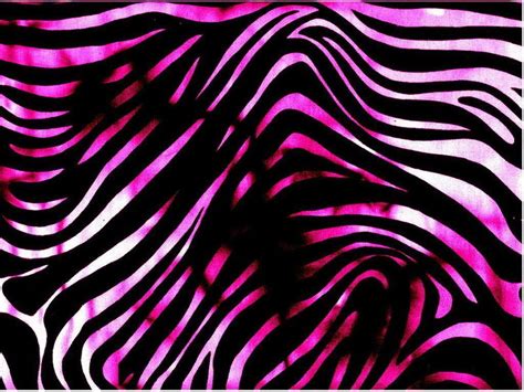 Zebra Backgrounds - Wallpaper Cave