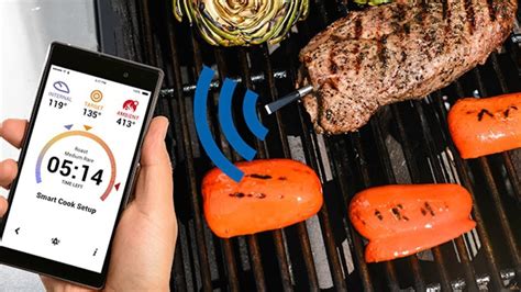 MEATER Truly Wireless Meat Probe Review - YouTube