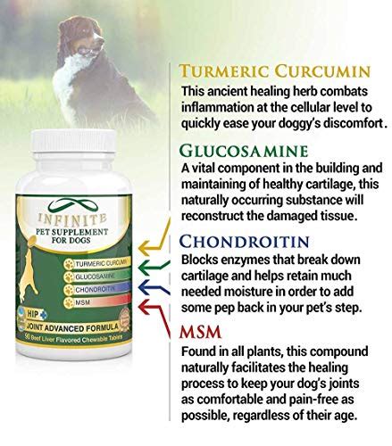 All-Natural Hip & Joint Supplement for Dogs – with Glucosamine ...