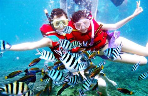 (2023 Promo) 3d2n Redang Beach Resort Snorkeling Package