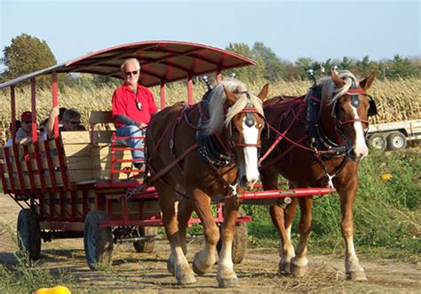 Scenic Fall Hayrides at Shaw Farms in Milford, Ohio.