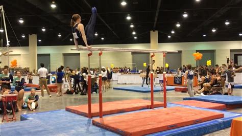 Parallel Bars Gymnastics Training for Adults