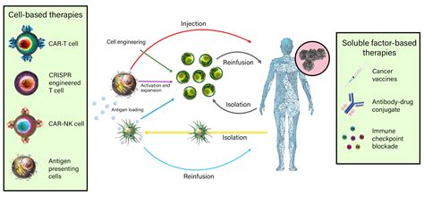 Immunotherapy