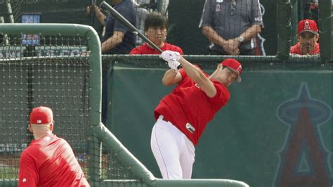 Baseball: Shohei Ohtani takes 1st batting practice with team since surgery