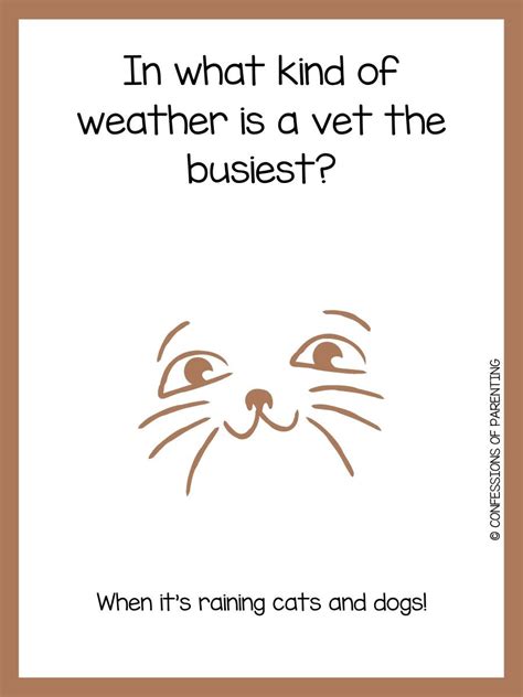 120 Purr-fect Cat Jokes That Make You Me-OWWW!