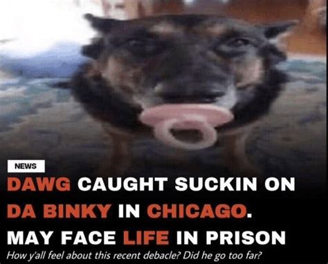 dog suckin da binky by zgoldyz on DeviantArt