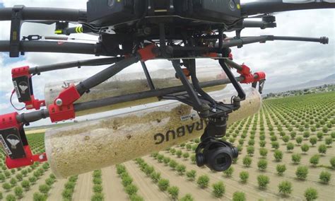 Precision Biological Pest Control via Drone | Drone Below