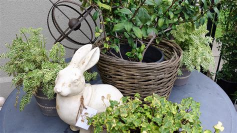 Bunny rabbits love gardens | Garden accessories, Love garden, Garden tools