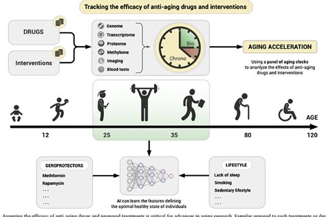 Figure 2 from Artificial intelligence for aging and longevity research ...