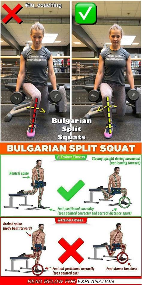 How to Bulgarian Split Squat | Lunge workout, Bulgarian split squats, Split squat