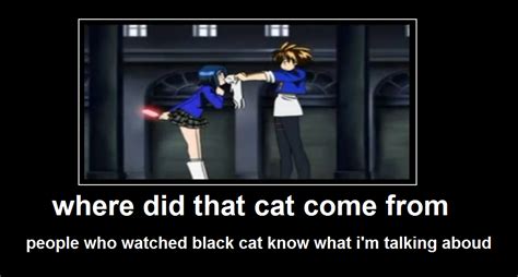 Black Cat Anime Quotes. QuotesGram