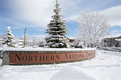 Online Degrees: Nau Online Degrees