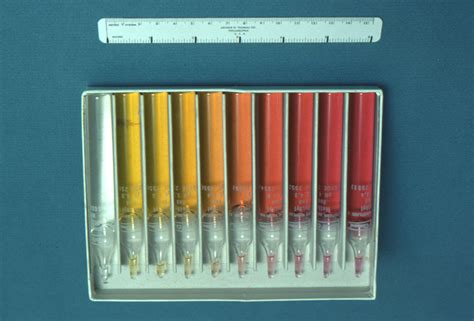 Public Domain Picture | This image depicts test tubes containing the pH ...