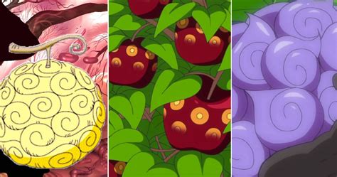 One Piece: 10 Things You Didn't Know About Devil Fruit | CBR