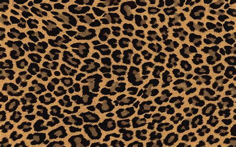 Share 87+ leopard print wallpaper hd latest - 3tdesign.edu.vn