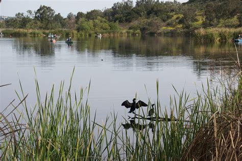 Laguna Niguel Regional Park