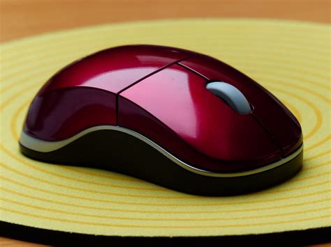 Free Images : information technology, computer mouse, electronic device, computer hardware ...