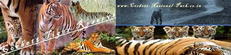 Corbett National Park: Jim Corbett National Park - Corbett Tiger Reserve