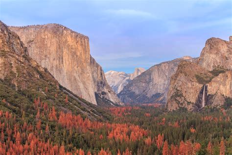 California Fall Foliage: It's Real, and There's a Map for That | KQED