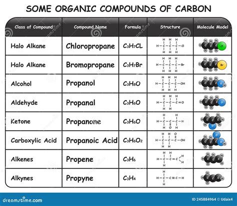 Some Organic Compounds of Carbon Infographic Diagram Stock Vector - Illustration of physics ...