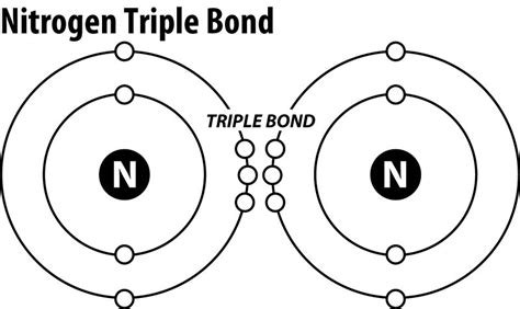 N2 Structure