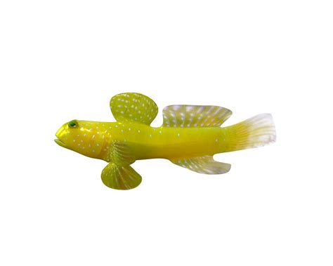 Goby Fish, Game Resources, Watchmen, Dinosaur Stuffed Animal, Website, Animals, Animales ...