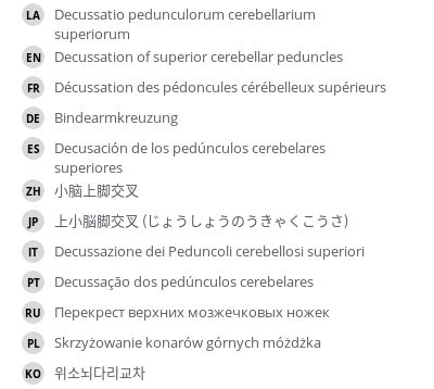 Decussation of superior cerebellar peduncles - e-Anatomy - IMAIOS