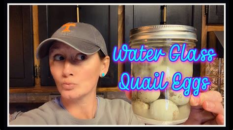 🍳 10 Month Water Glass QUAIL Eggs TEST 🍳 - YouTube