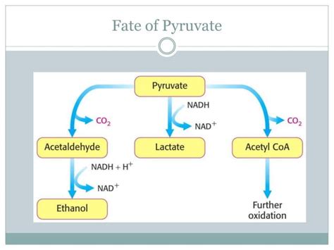 Glycolysis - Glucose oxidation | PPT