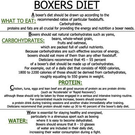 Boxers diet, Workout diet plan, Professional boxer