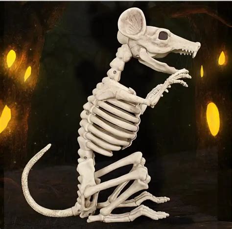 Durable simulation 29.2cm Height Rat skeleton model Mini skeleton Rat ...