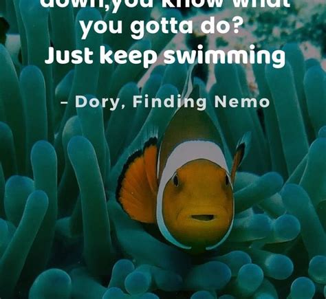Adventure Quotes from Movies - Finding Nemo | Tale of 2 Backpackers