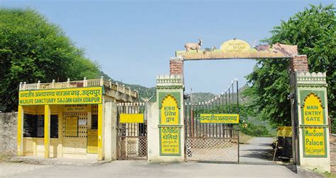 Sajjangarh Wildlife Sanctuary Udaipur - History, Timings, Entry Fee