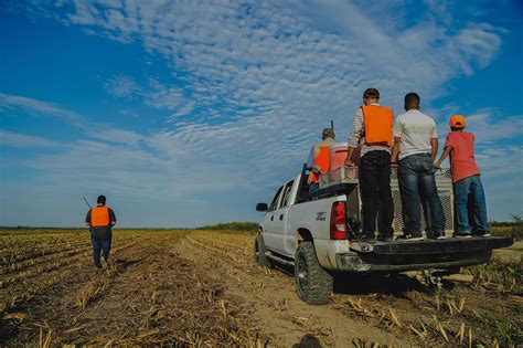 Wild Quail Hunting in Mexico | Rancho Ala Blanca