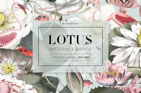 Lotus Garden, Exquisite design | Graphic Patterns ~ Creative Market