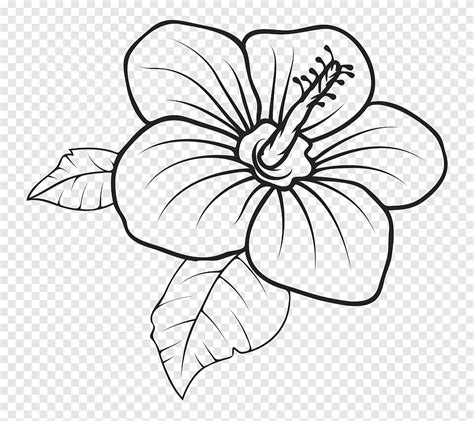 Floral design Hawaii Drawing graphics, flower, white, retro png | PNGEgg