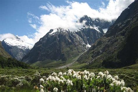 Fiordland National Park: Guide To The Untamed Wildlife Reserve