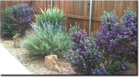 49 Best North Texas Xeriscape Plans images | Texas landscaping, Texas ...