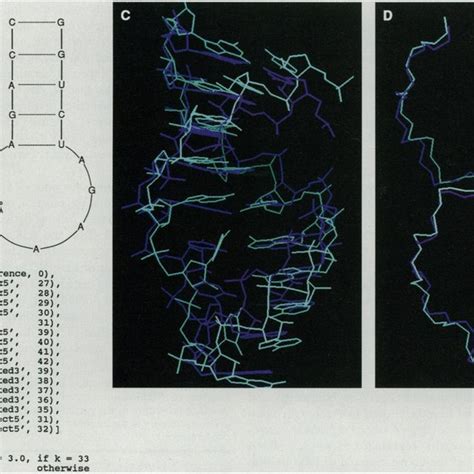 (A) Secondary structure of the anticodon loop used by MC-SYM. (B) The ...