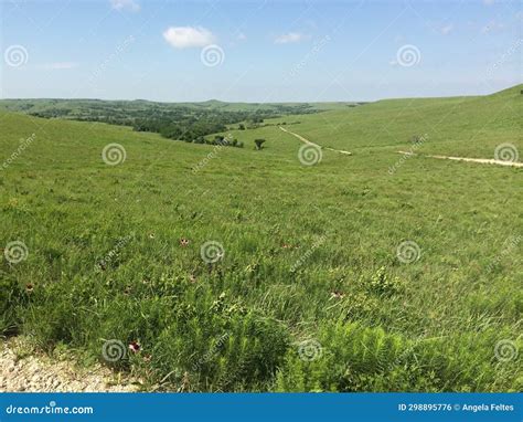 Rolling Hills, Green Grass and Meadows, Hiking at Konza Prairie Nature ...