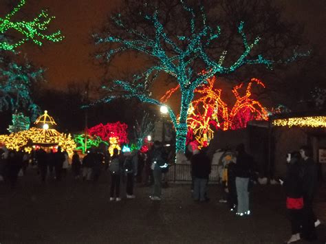 422 | Chicago zoo lights, 2010 | David Herbeck | Flickr