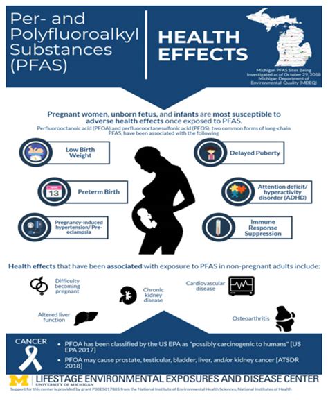 Forever Chemicals (PFAs) and America’s Polluted Water Sources - Rachel Carson Council