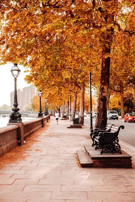 Autumn in London: Where to find the best fall colours 2022 — Bronwyn ...