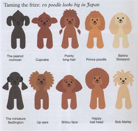 Huxtable The Poodle | Toy Poodle Blog | Parti Poodle: Japanese Style: Poodle Clips & Cuts Grooming