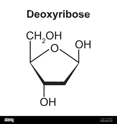 Chemical Structure of Deoxyribose Sugar Molecule. Vector Illustration ...