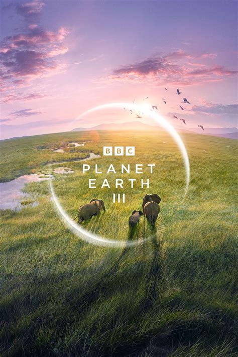 Filming Planet Earth III — Joris van Alphen